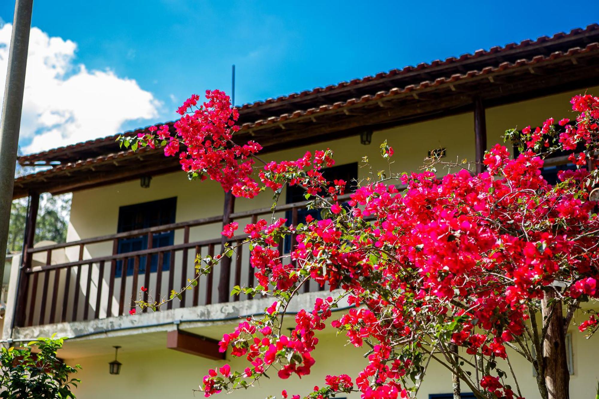 Fazenda Hotel Alvorada Santos Dumont Kültér fotó